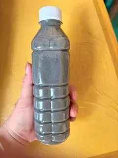 Hình ảnh Mè đen