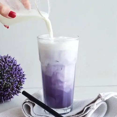 Hình ảnh KHOAI MÔN SỮA GẤU LATTE