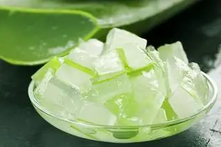 Hình ảnh Thạch Nha Đam