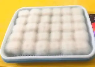 Hình ảnh Đậu hủ lông ( moldy tofu) 
