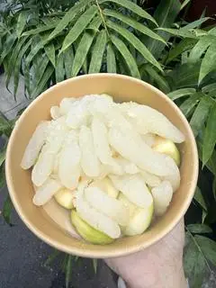 Hình ảnh Sứa rong nho size S
