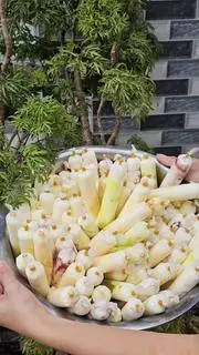 Hình ảnh SỮA CHUA TÚI