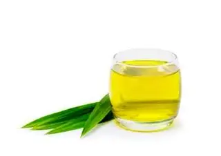 Hình ảnh Trà sâm dứa 