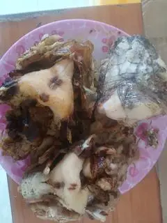 Hình ảnh bún cá + đầu cá lóc 