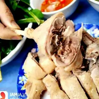 Hình ảnh Vịt luộc góc tư