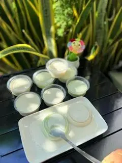 Hình ảnh set 5 hộp tàu hủ lá dứa singapore (hủ 100ml)