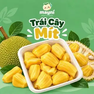 Hình ảnh TRÁI CÂY MÍT
