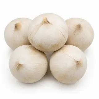 Hình ảnh DỪA XIÊM MINI TRỌC (5 TRÁI )
