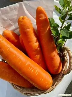 Hình ảnh Cà rốt thêm