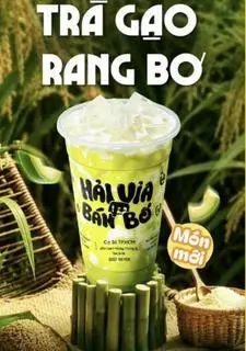 Hình ảnh Trà Gạo Rang Bơ