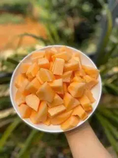 Hình ảnh Dưa lưới