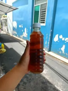 Hình ảnh Sâm lạnh