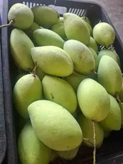 Hình ảnh xoài cát hòa lộc