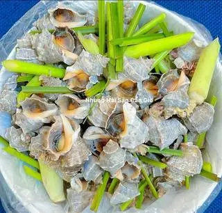 Hình ảnh Ốc gai