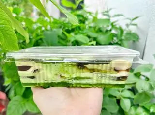 Hình ảnh  rau câu sơn thủy vị cafe lá dứa sữa dừa  thơm béo chuẩn vị miền tây..