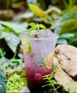 Hình ảnh Soda việt quất