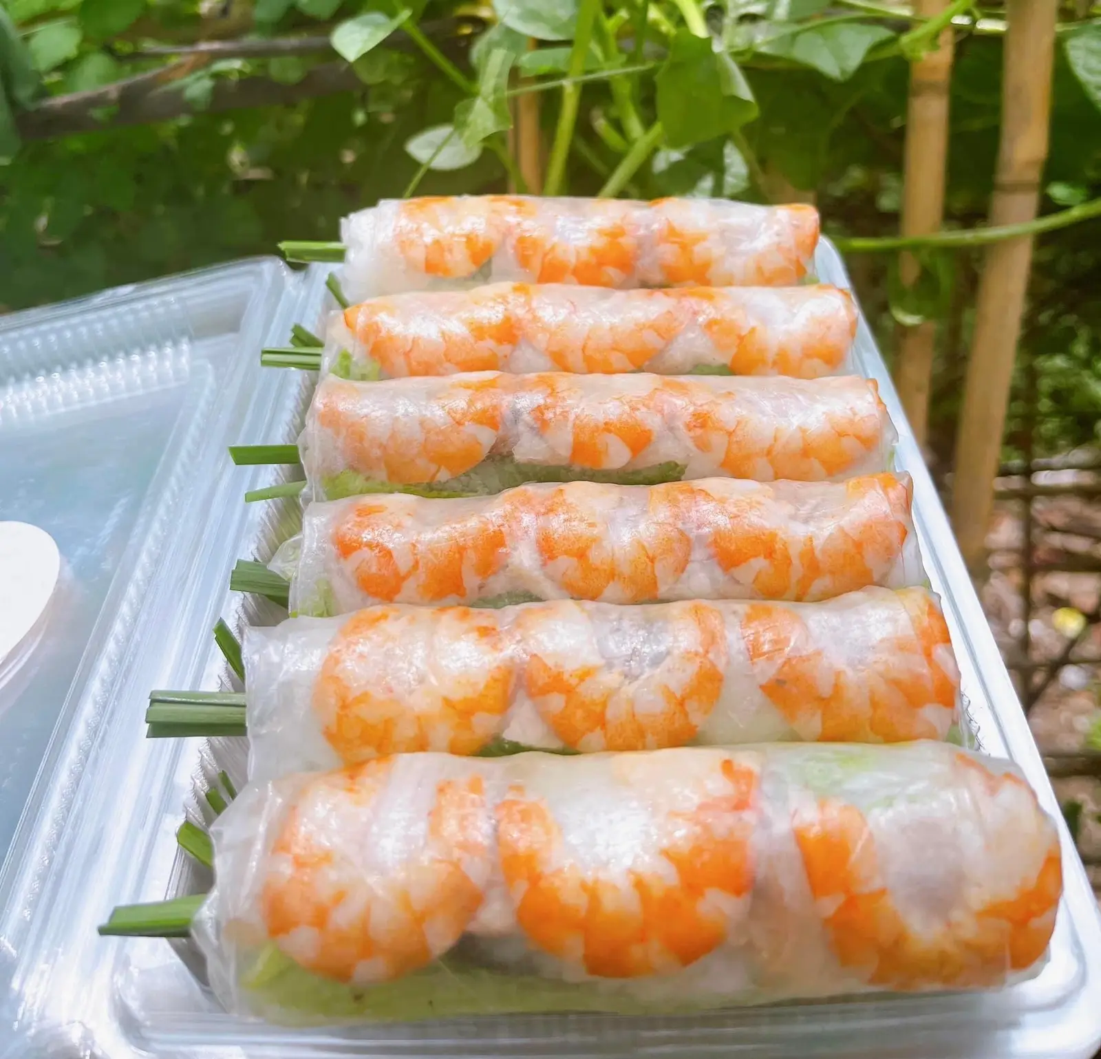 Hình ảnh Gỏi cuốn tôm