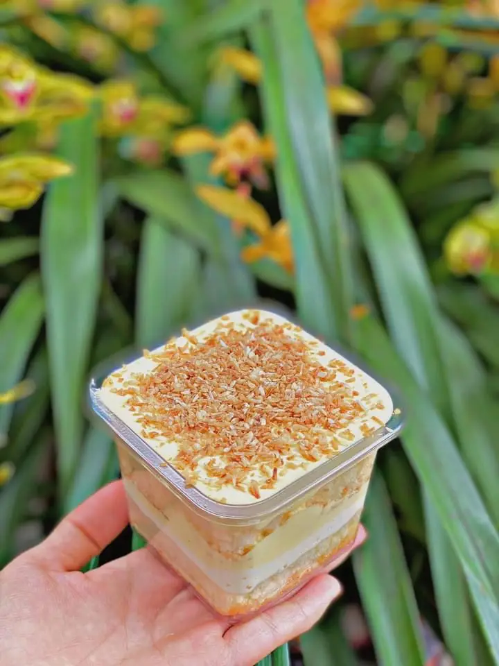 Hình ảnh Bánh kem trứng dừa nướng