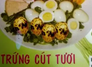 Hình ảnh Trứng cút 