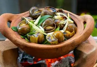 Hình ảnh ốc lát hấp xã