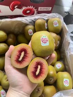 Hình ảnh Kiwi đỏ Newzeland-kg