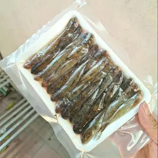 Hình ảnh Cá bông ta (khay >200gr)