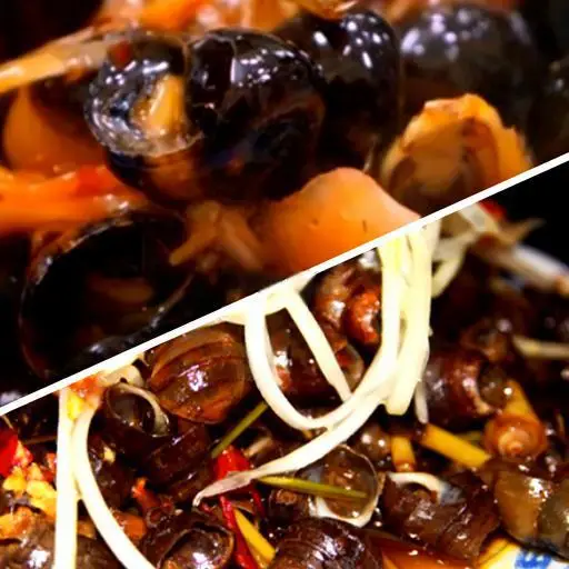 Hình ảnh Ốc lẫn xào