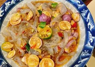 Hình ảnh sứa thêm