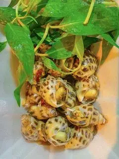 Hình ảnh Ốc Hương