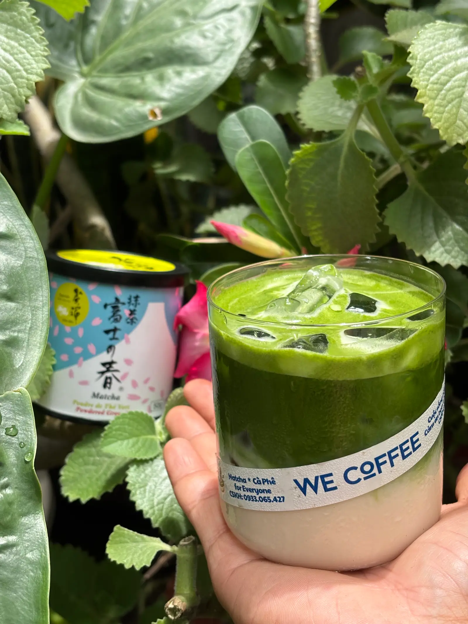 Hình ảnh Matcha Latte Nhật Fuji No Haru