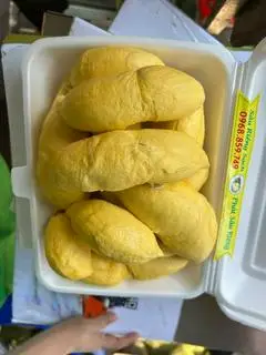 Hình ảnh Cơm sầu riêng cái mơn 500g