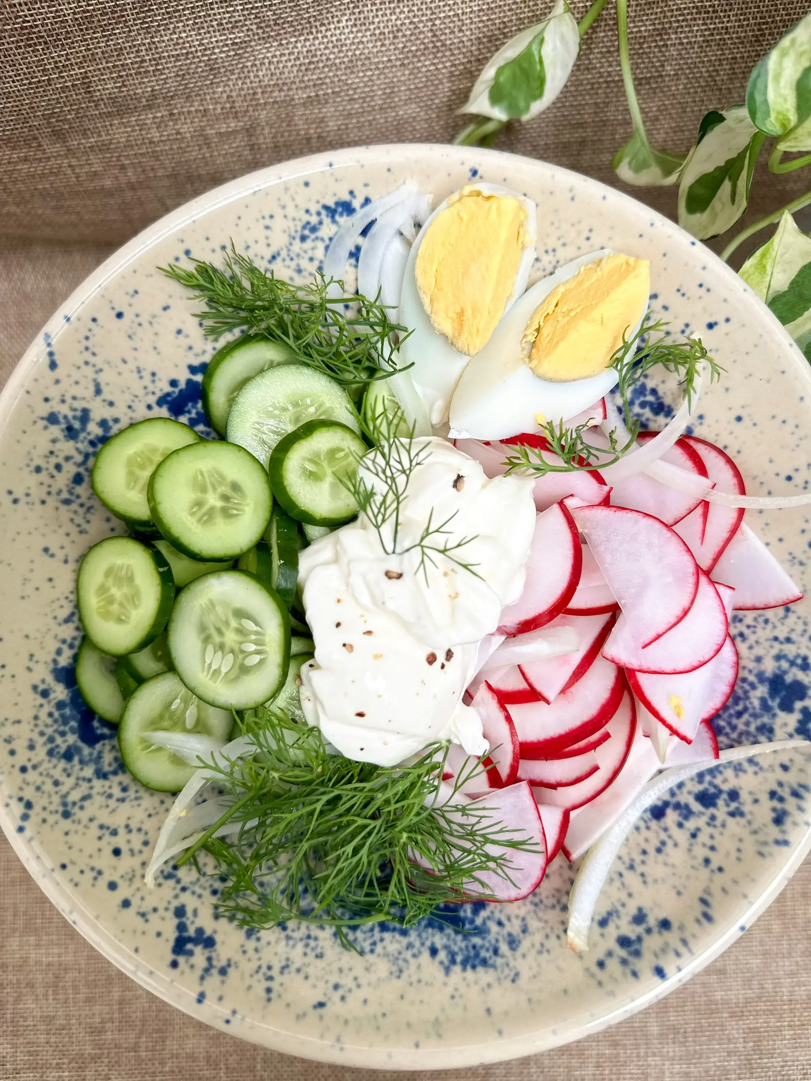 Hình ảnh Radish Cucumber with sour cream salad 