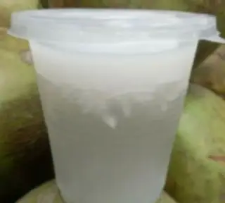 Hình ảnh Thạch dừa nhà làm
