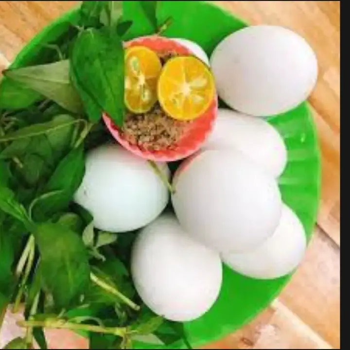 Hình ảnh 5 trứng vịt Dữa nước 