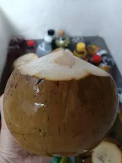 Hình ảnh Dừa Xiêm Ướp Lạnh - Trái Lớn 