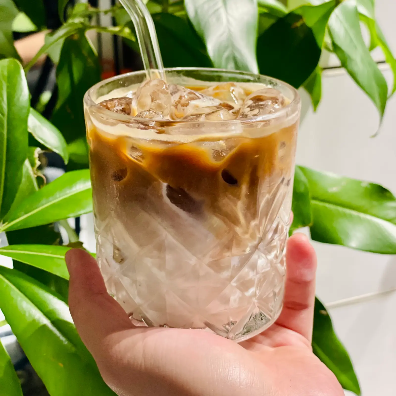 Hình ảnh LATTE