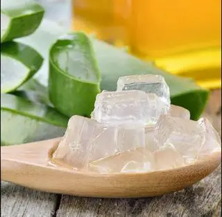 Hình ảnh Thạch nha đam