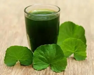 Hình ảnh Rau má