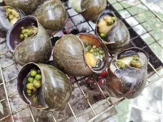 Hình ảnh Ốc Bươu nướng sa tế