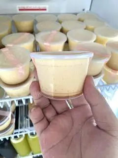 Hình ảnh Bánh Plan Nướng