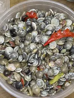 Hình ảnh Ốc Ruốc Size To