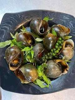 Hình ảnh Ốc Lát Nướng Tiêu ( size To )