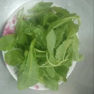 Hình ảnh Rau sống thêm 