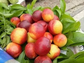 Hình ảnh ĐÀO SAPA NGUYÊN TRÁI (1KG)