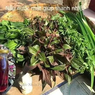 Hình ảnh SÂM RONG BIỂN LA HÁN QUẢ