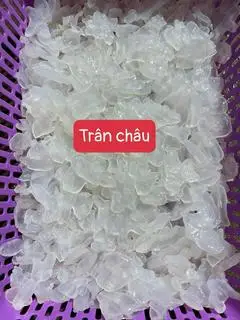 Hình ảnh SỨA TRÂN CHÂU