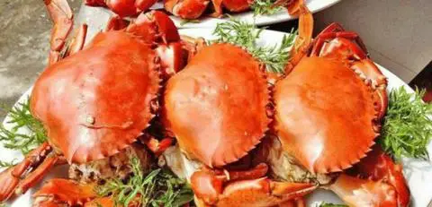 Hình ảnh Cua Ngon Cà Mau 314