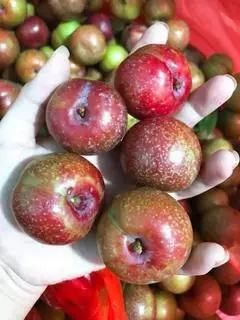 Hình ảnh Mận Hậu