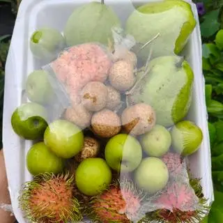 Hình ảnh trái cây thập cẩm 