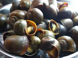 Hình ảnh thịt ốc 螺肉